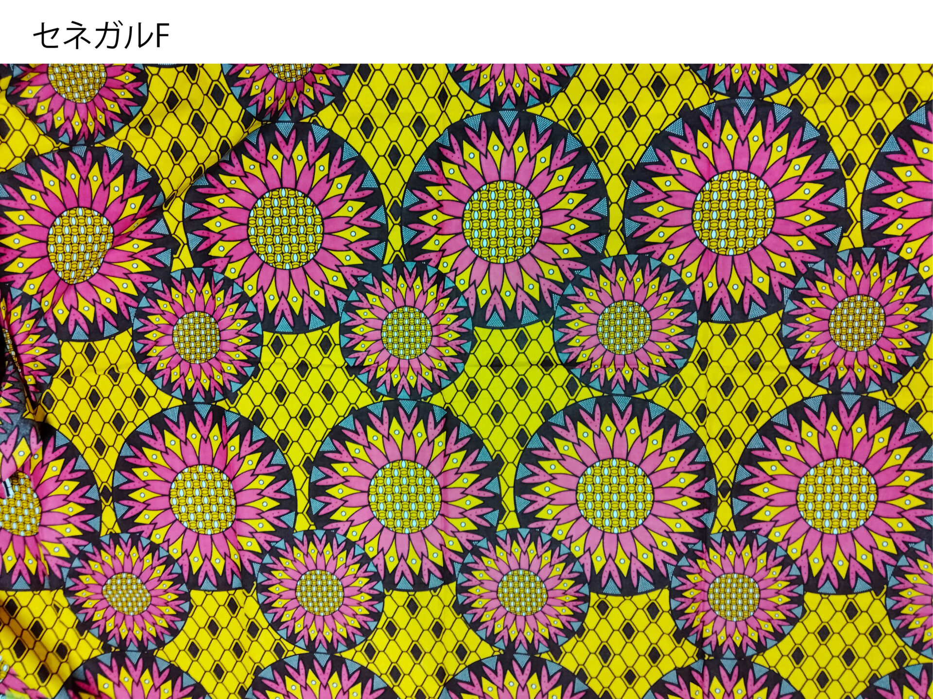 【予約販売】クアドロデニムカーディガン - 画像 (18)